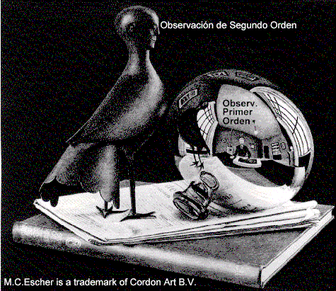 Observación de segundo orden