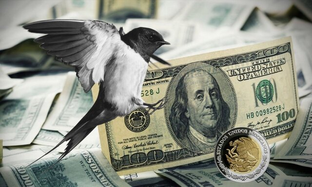 Capitales golondrinos