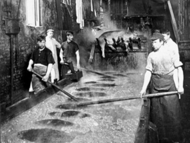 Welcome to the Jungle