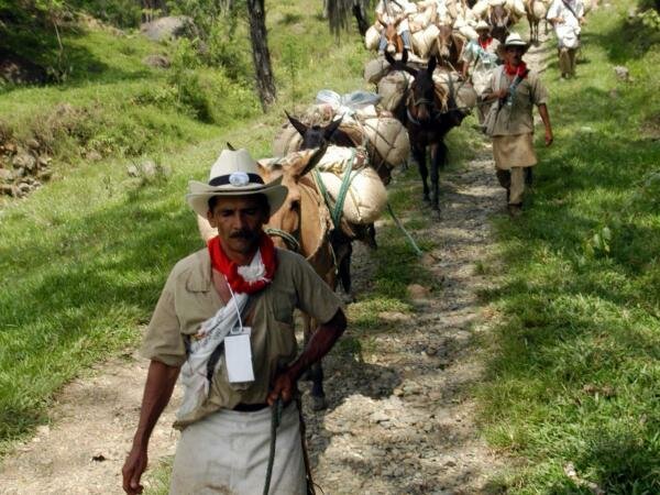 Manzanales y Murillo