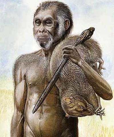 Nova espécie humana