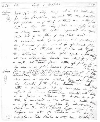 Exciting discoveries await back home!