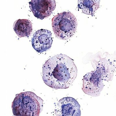 Timeline: Evolución en el estudio de la célula