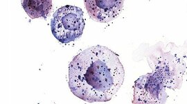 Timeline: Evolución en el estudio de la célula