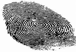Fingerprints are first accepted by U.S. courts as a reliable means of evidence