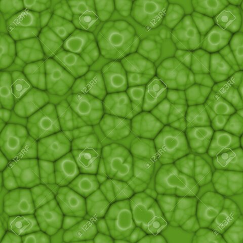 Se postula que las células de las plantas tienen núcleo