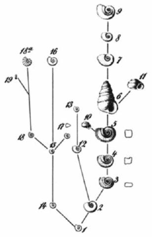 La cuenca de Steinheim