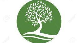 Timeline: Arboles Filogenéticos