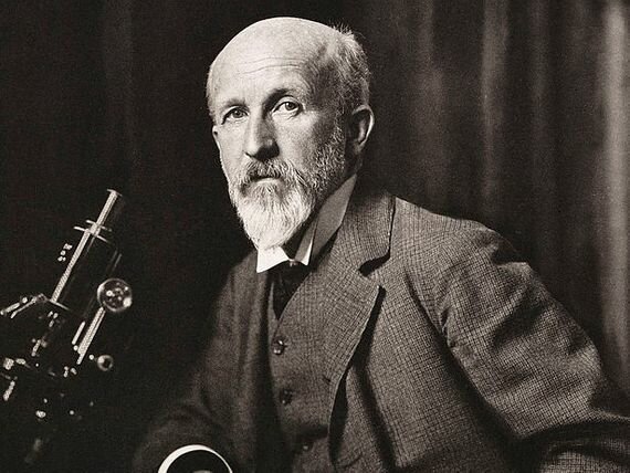 Descubrimiento de la meiosis