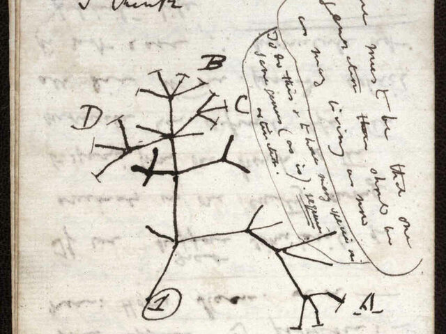 ''Sobre el origen de las especies''