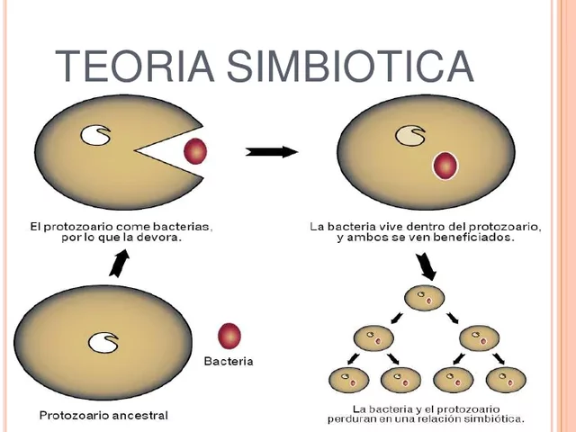 Teoría endosimbiótica