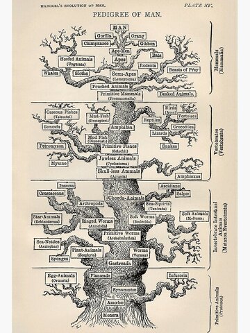 Ernst Heinrich Philipp