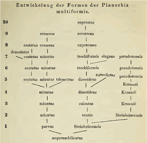 Franz Martin Hilgendorf