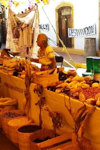 visión natural y económica