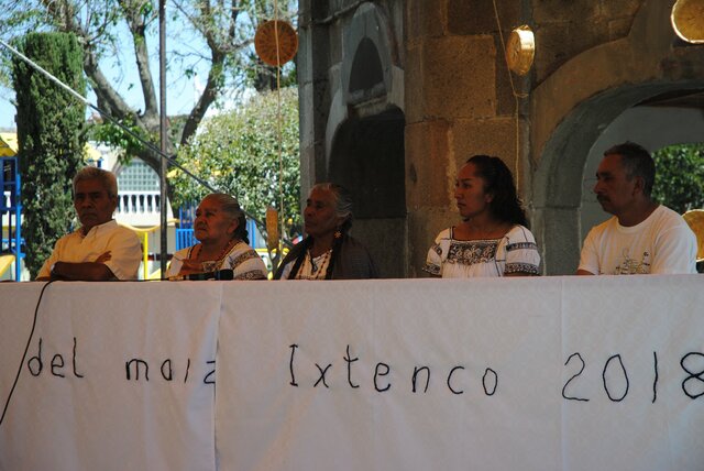 resignificación del maíz