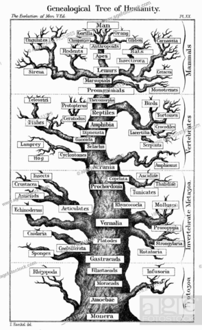 Ernst Heinrich Philipp