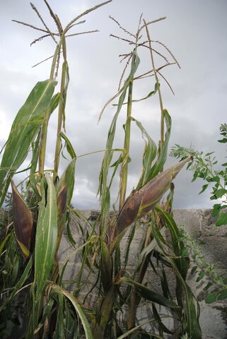 construcción de identidades