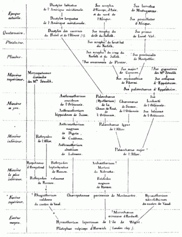 Franz Martin Hilgendorf