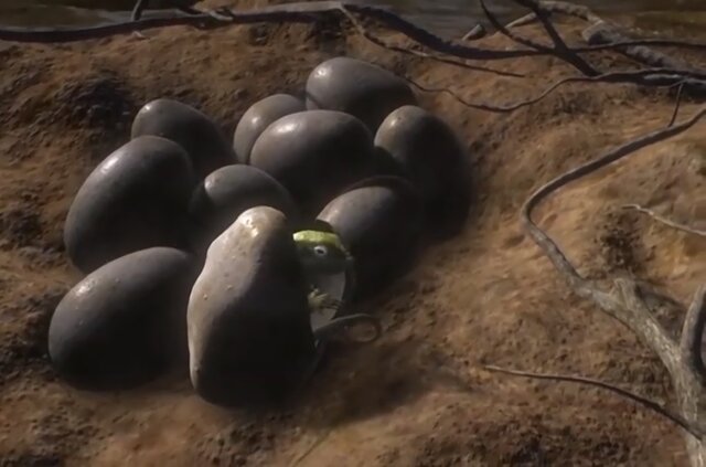 Evolución de los lagartos