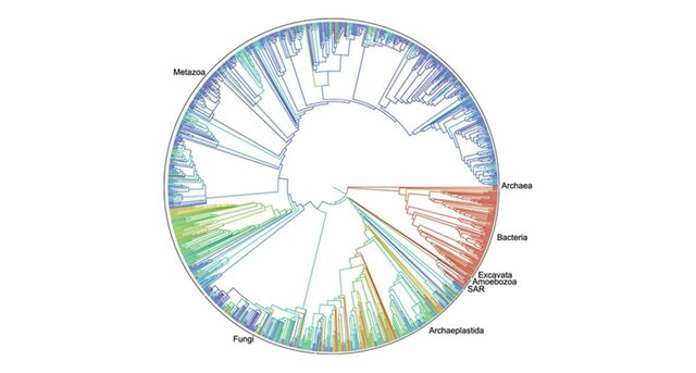 El Árbol mas completo