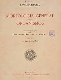 Morfología General