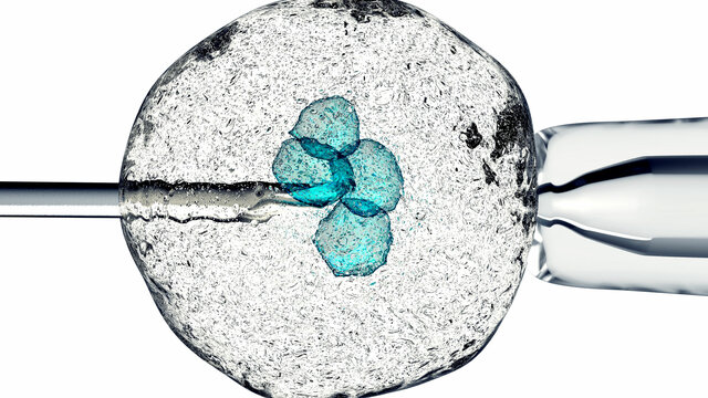 En el mundo de la Ciencia