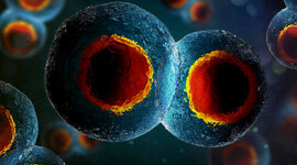 Timeline: Evolución de las células