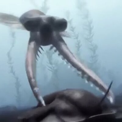 Timeline: Era primaria (paleozóica)