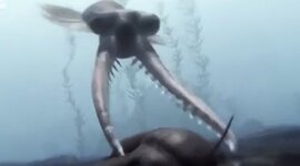 Timeline: Era primaria (paleozóica)