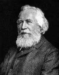 Haeckel dibujó el primer árbol genealógico filogenético