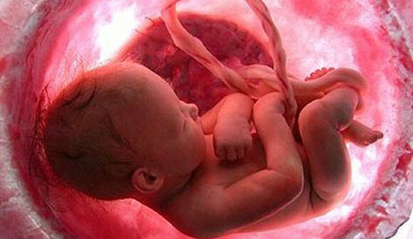 Período intrauterino