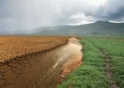 Convención marco sobre el Cambio Climático