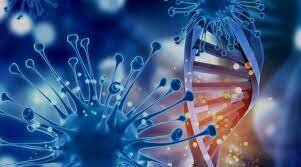 Bioquímica y biología molecular