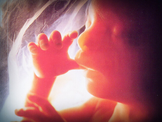 Formación de una nueva vida