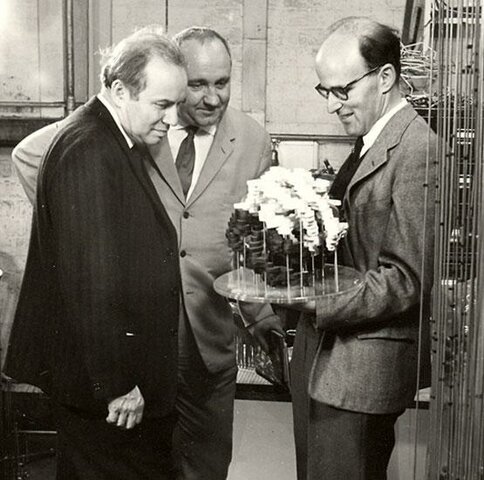 Avery, MacLeod y McCarty