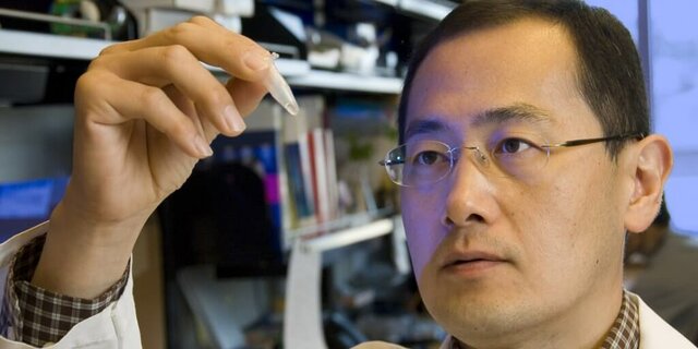Shinya Yamanaka