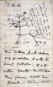 Darwin writes about Evolutionary Theory