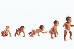 Comienzos del desarrollo físico