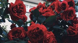 Timeline: PREHISTORIA Y EDAD MEDIA