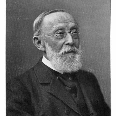 Rudolf Virchow, Alemania