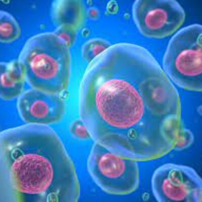 Timeline: Teoría Celular