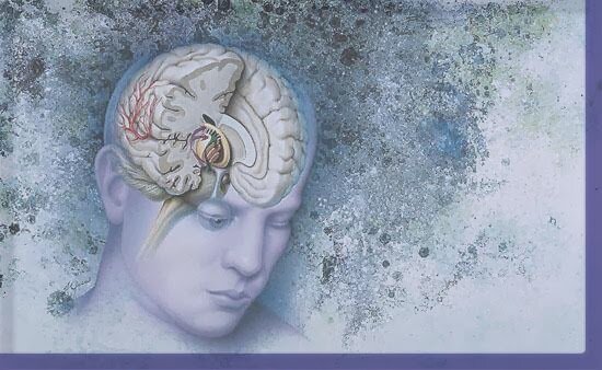 Publicación del libro “Filosofía fisiológica”