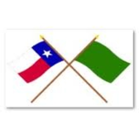 Green Flag (Gutierrez-Magee Exp.)