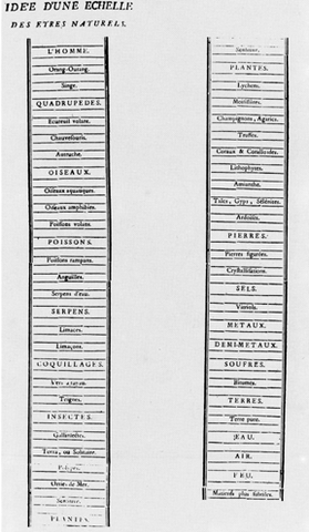Charles Bonnet (1720-1793)