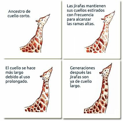 Jean- Baptise Lamarck [El transformismo]