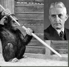 WOLFGANG KÖHLER (1887-1967)