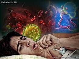 Virus y enfermedades