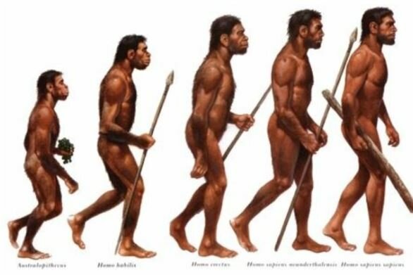 transporte del ser humano y sus pertenencias