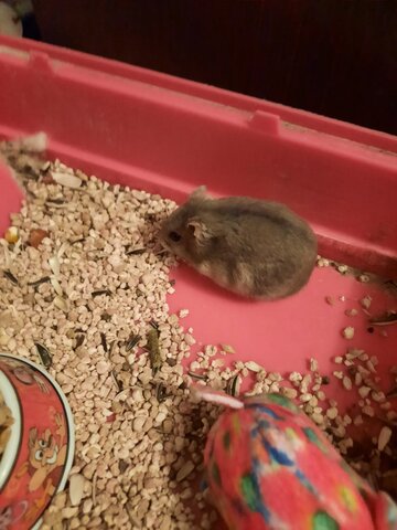 El millor regal de la meva vida.