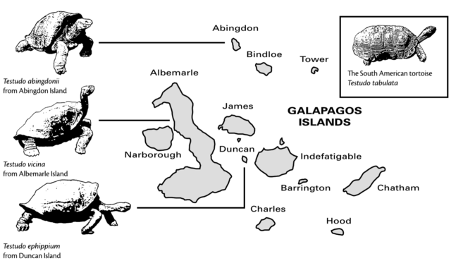 Visit to the Galapagos Archipelago